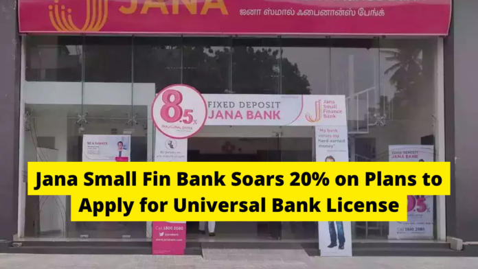 Jana small fin bank