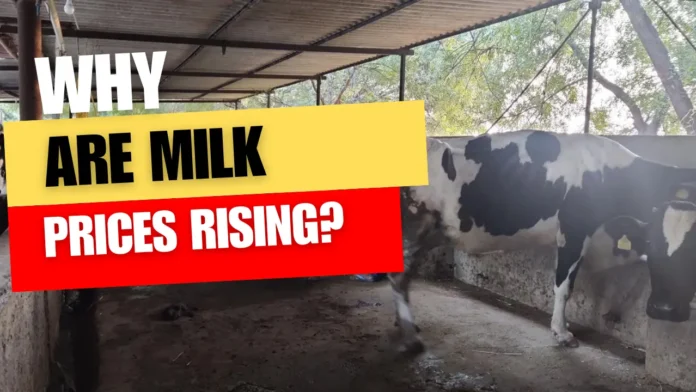 Why Are Milk Prices Rising?