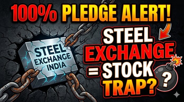 Steel Exchange India promoter holding pledge analysis showing 100% pledged shares risk for retail investors